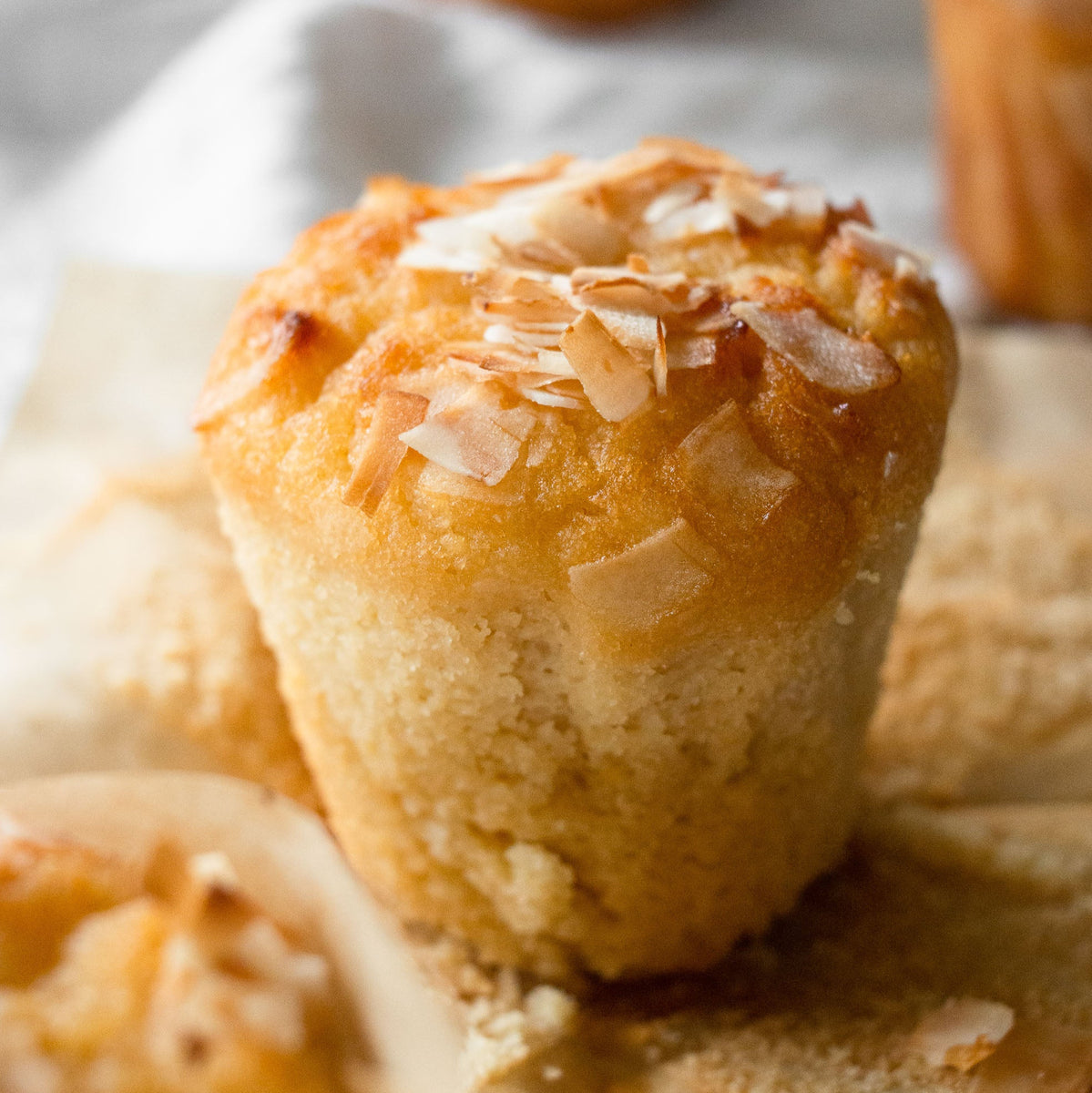 Lemon Coconut Muffins 6pcs (Gluten Free, Dairy Free, No Refined Sugar
