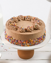Chocolate Sprinkle Cake