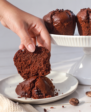 Chocolate Muffins