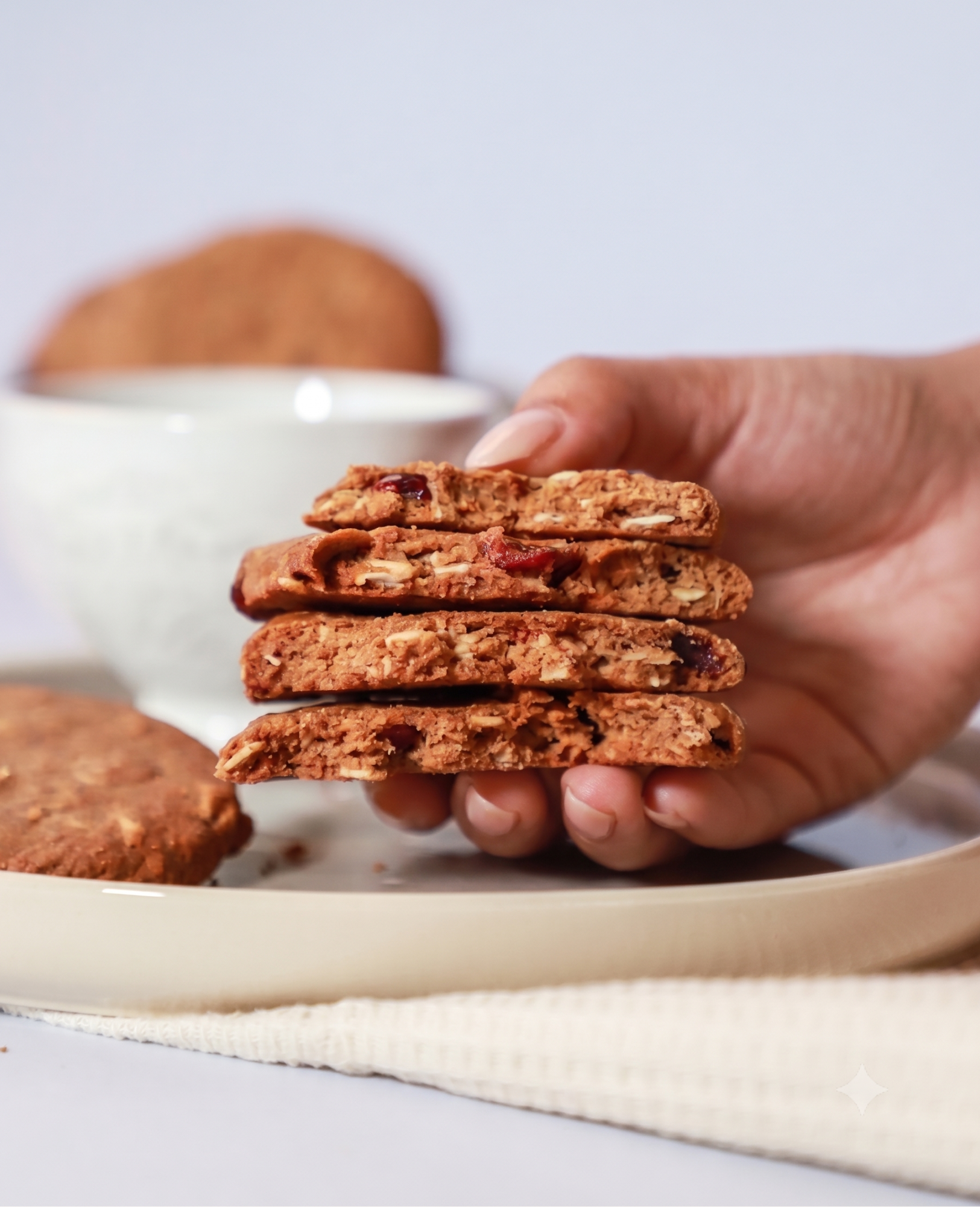 Oat_Cranberrycookie_2.png