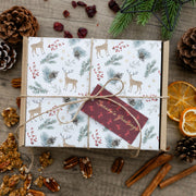 Festive Delights - Gift Set