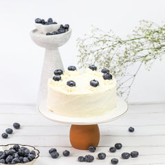 Vanilla Cream Cake (Gluten Free, Nut Free, No Refined Sugar, All Natural)